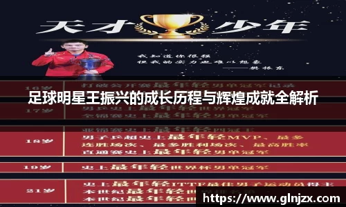 足球明星王振兴的成长历程与辉煌成就全解析